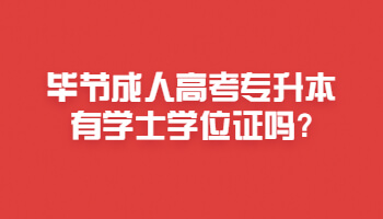 畢節(jié)成人高考專升本有學(xué)士學(xué)位證嗎?