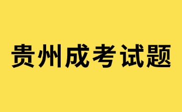 2024年貴州成考專升本《語文》模擬試題(1)